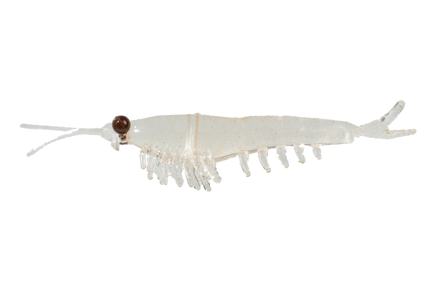 Приманка NIKKO Okiami Shrimp M 42мм, Clear коричневый купить c доставкой